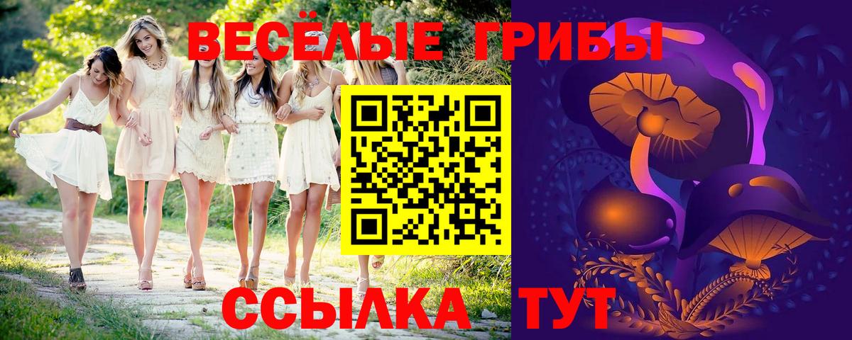 Галлюциногенные грибы Psilocybe  Вход с VPN  Асино 