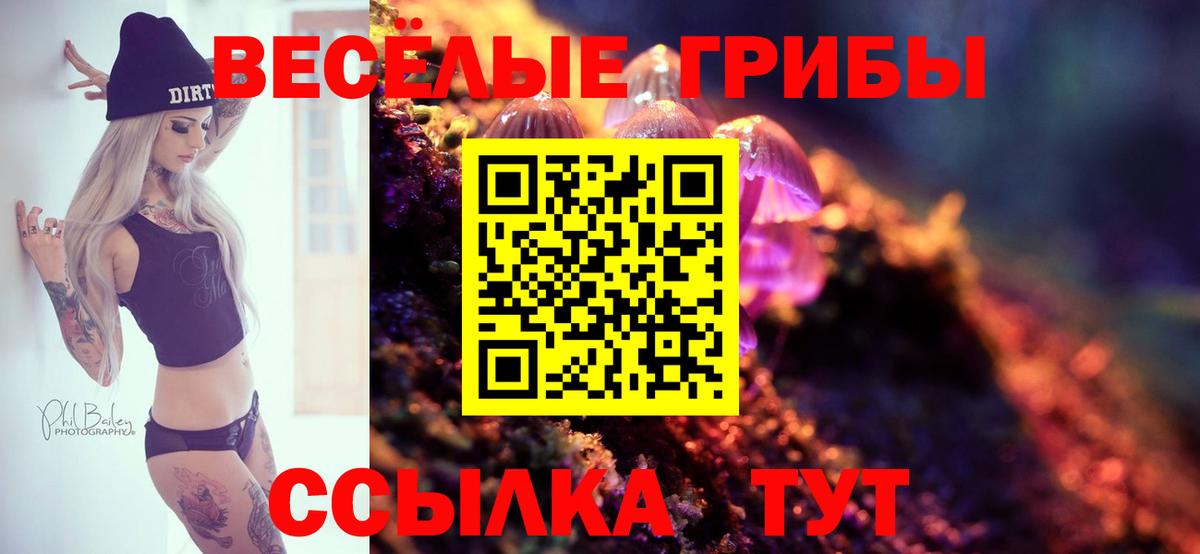Псилоцибиновые грибы Psilocybe Асино